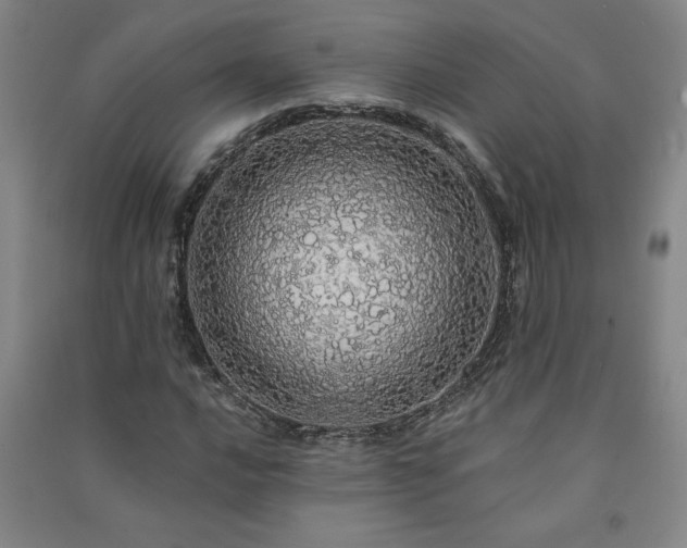 X0000091331016200708171346