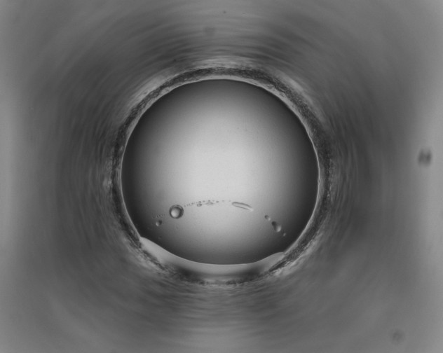 X0000091331017200708171346