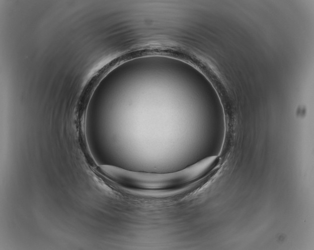 X0000091331018200708171346