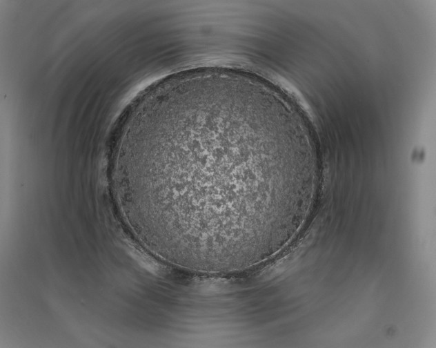 X0000091331019200708171346