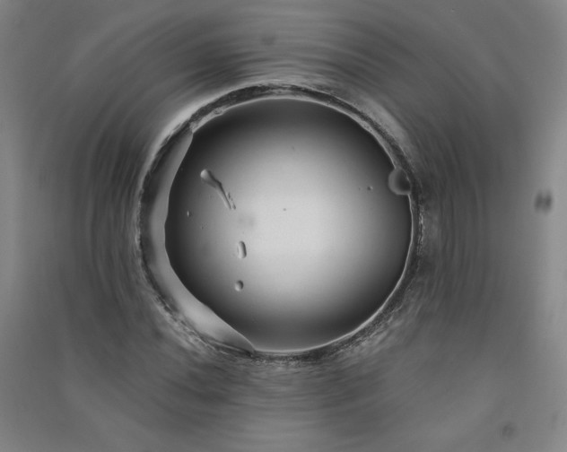 X0000091331020200708171346