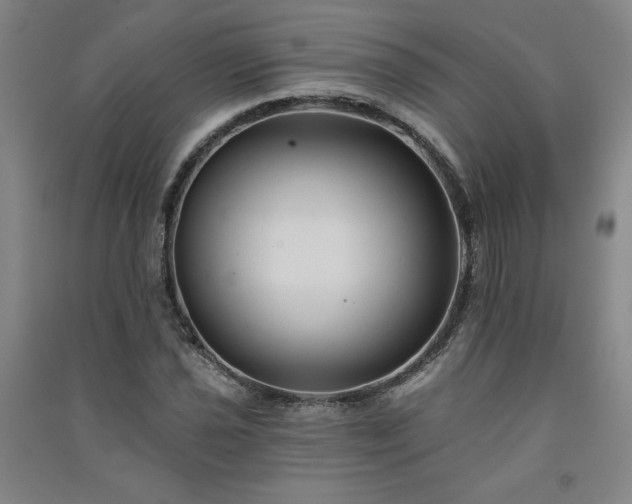 X0000091331021200708171346