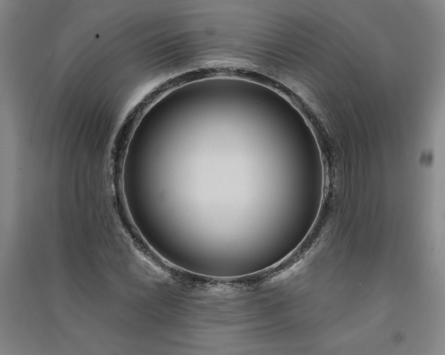 X0000091331022200708171346