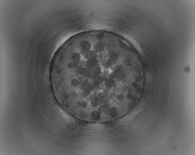 X0000091331023200708171347