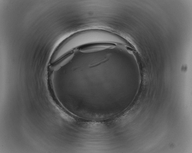 X0000091331024200708171347