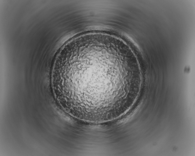 X0000091331025200708171347