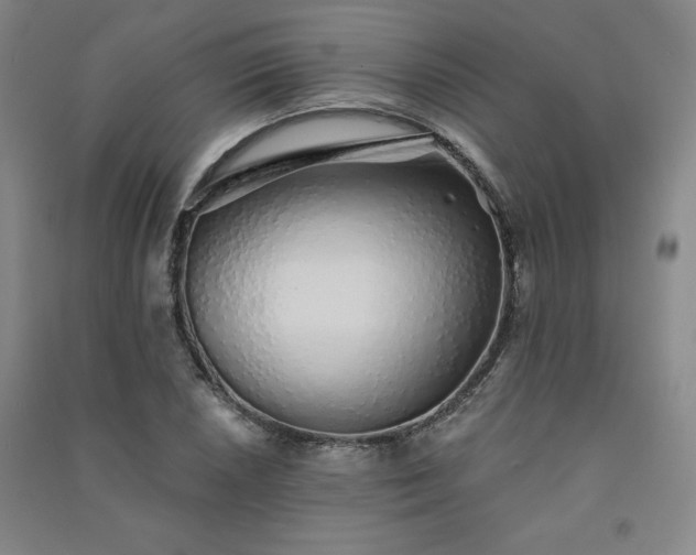 X0000091331026200708171347