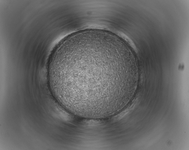 X0000091331027200708171347