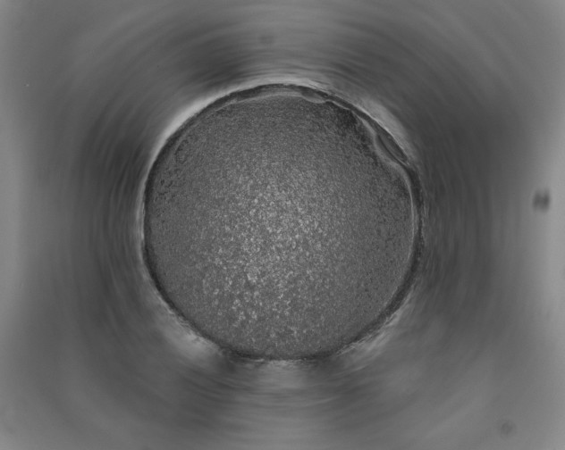 X0000091331028200708171347