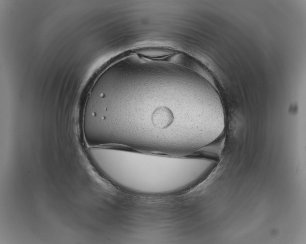 X0000091331030200708171347