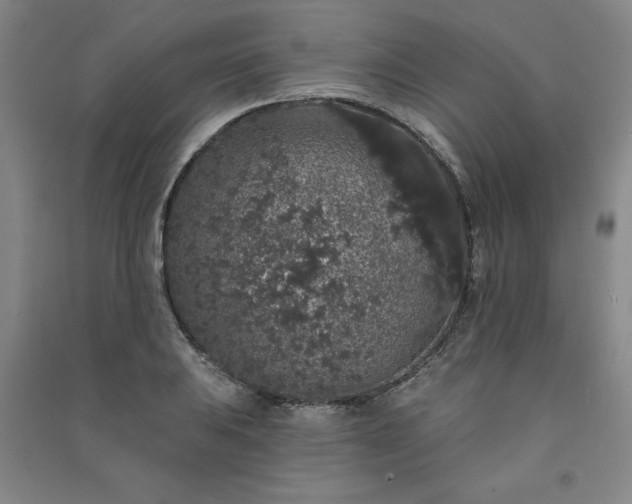 X0000091331031200708171347