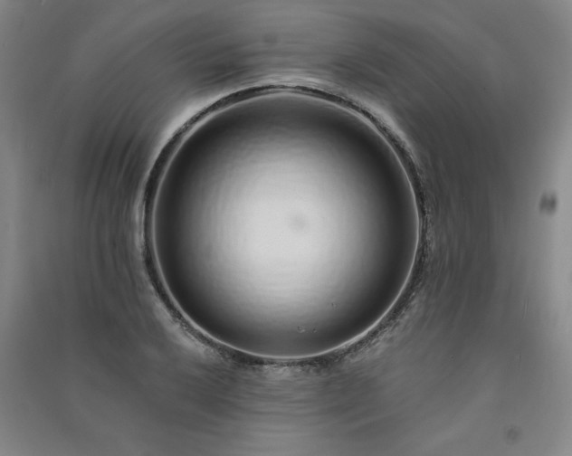 X0000091331032200708171347