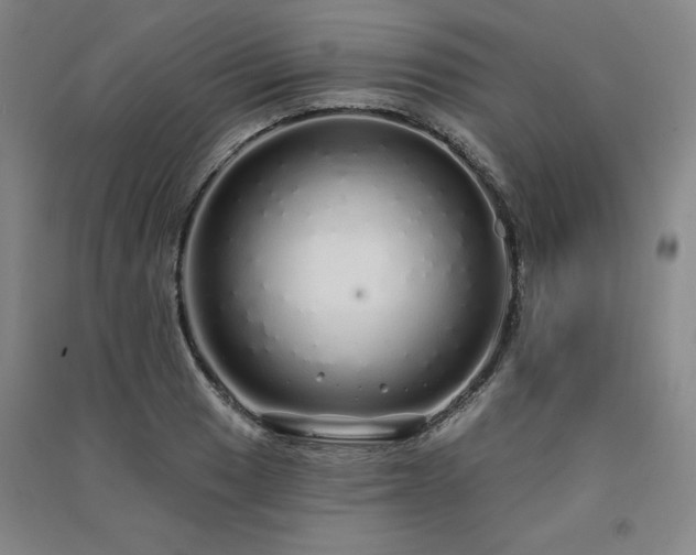 X0000091331033200708171347