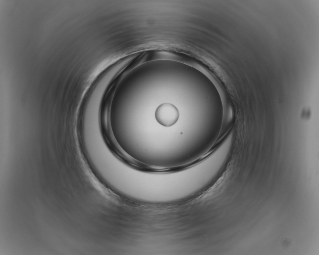 X0000091331034200708171347