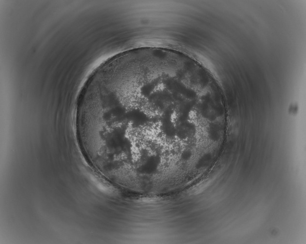 X0000091331035200708171347