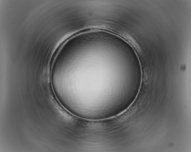 X0000091331036200708171347