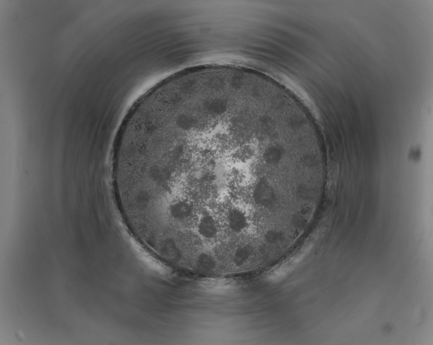 X0000091331037200708171347