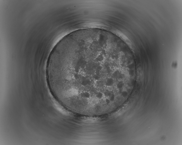 X0000091331039200708171347