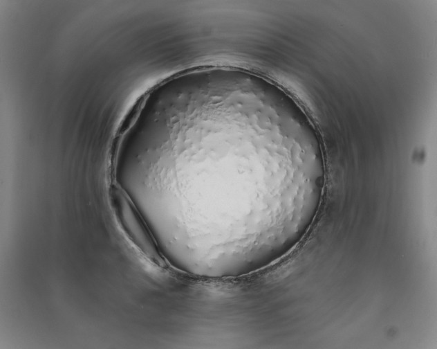 X0000091331040200708171347