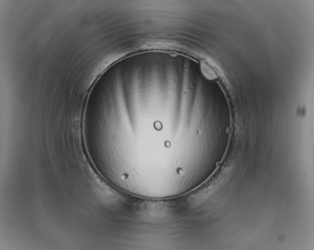 X0000091331041200708171347