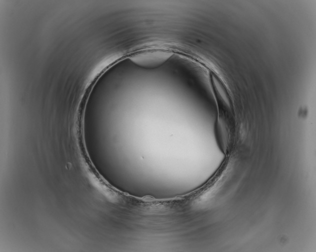 X0000091331042200708171347