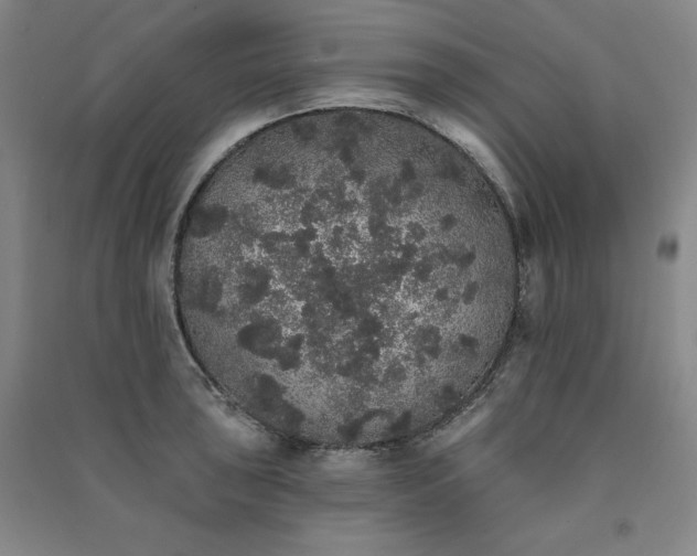 X0000091331043200708171347