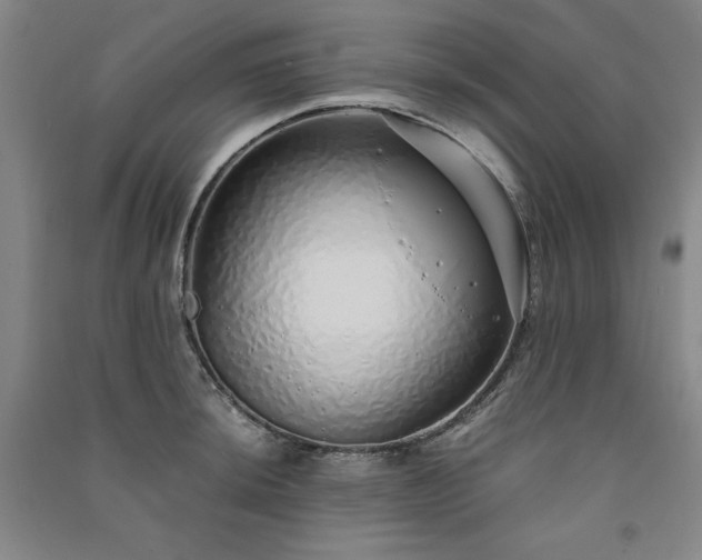 X0000091331044200708171347