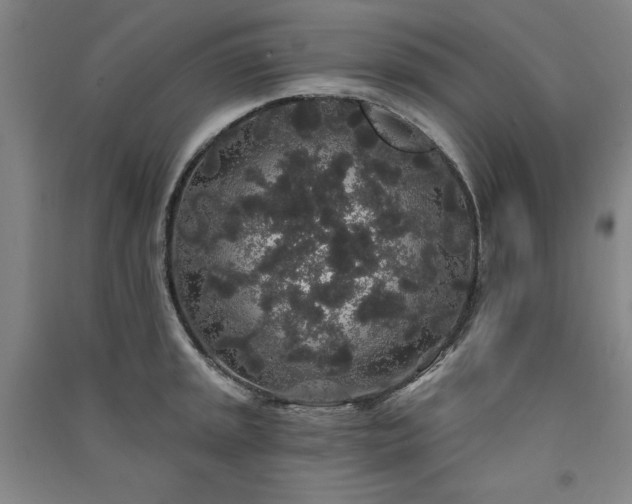 X0000091331045200708171347