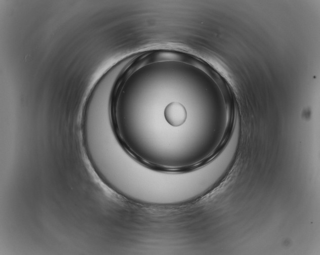 X0000091331046200708171347