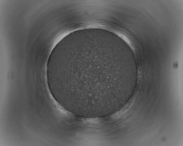 X0000091331047200708171347