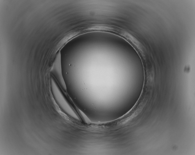 X0000091331049200708171347