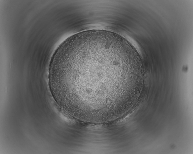 X0000091331051200708171347