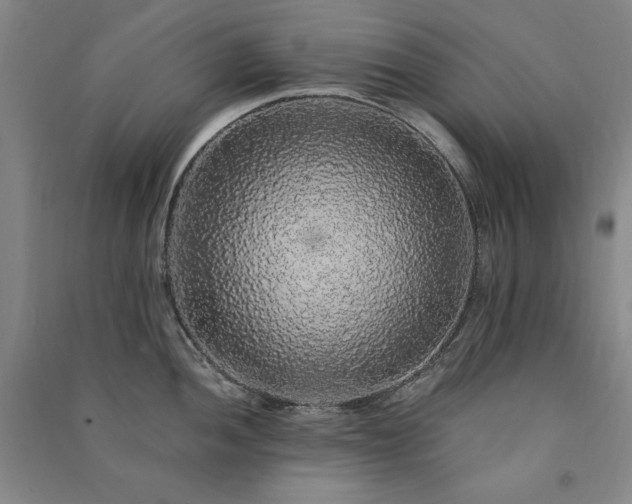 X0000091331052200708171347