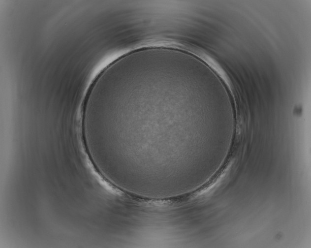 X0000091331053200708171347