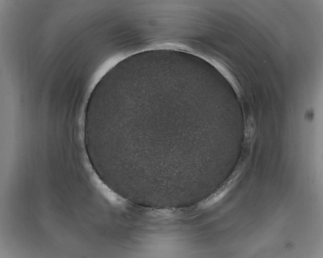 X0000091331054200708171347