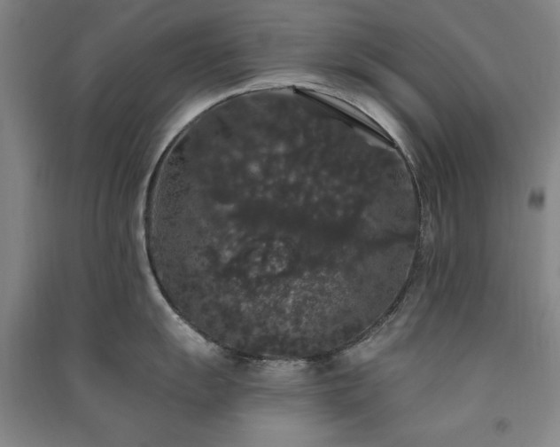 X0000091331055200708171347