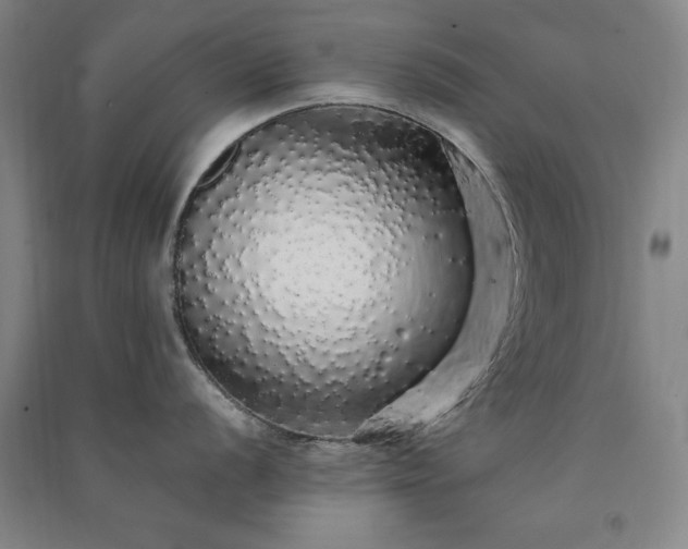 X0000091331056200708171347