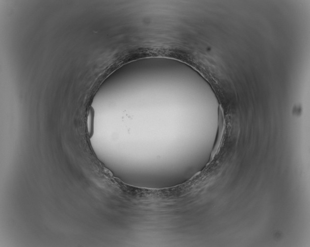 X0000091331057200708171346