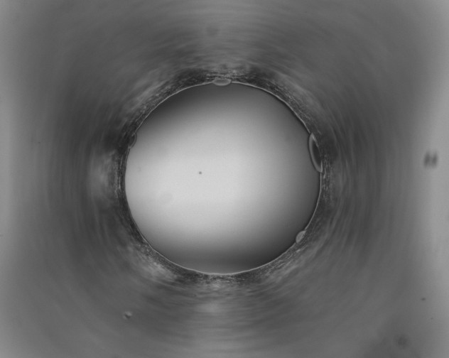 X0000091331058200708171346