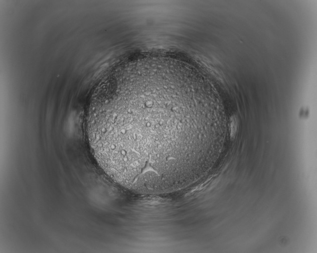 X0000091331059200708171346