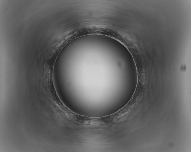 X0000091331061200708171346