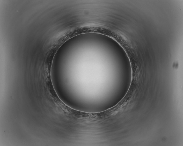 X0000091331062200708171346