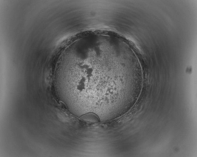 X0000091331063200708171346