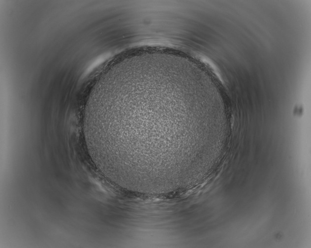 X0000091331064200708171346