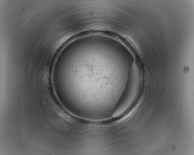 X0000091331065200708171346