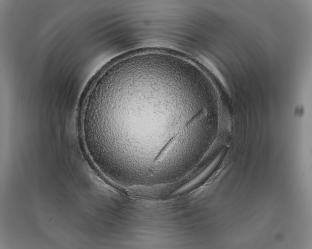 X0000091331068200708171346