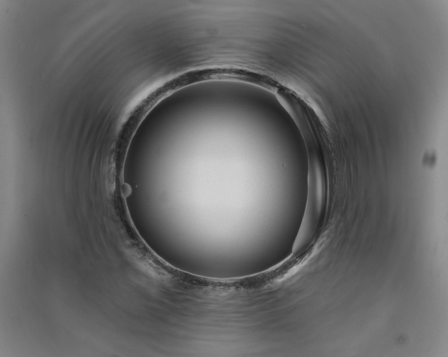 X0000091331069200708171346