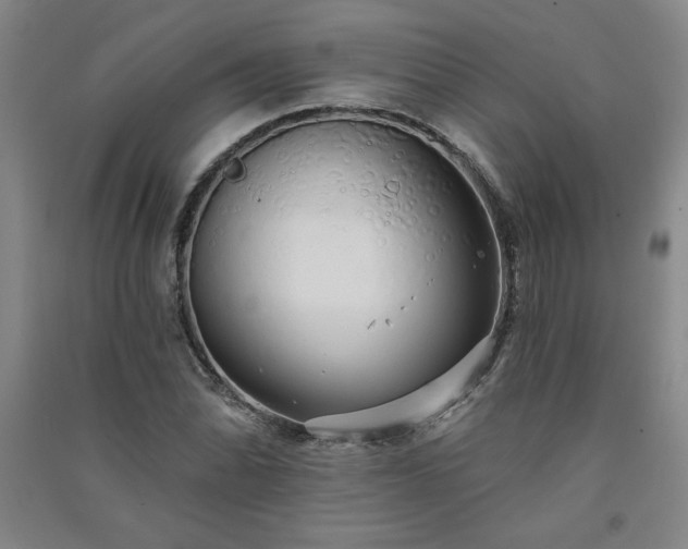 X0000091331070200708171346