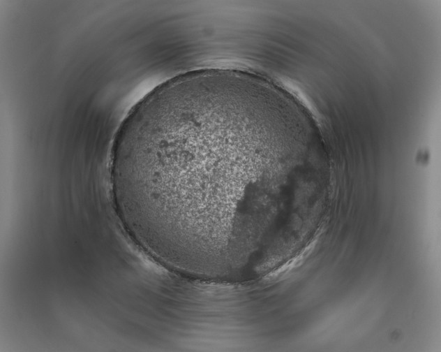 X0000091331071200708171346