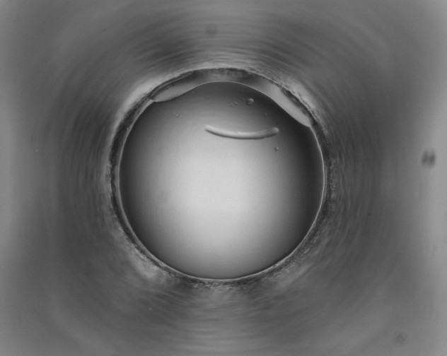 X0000091331072200708171346